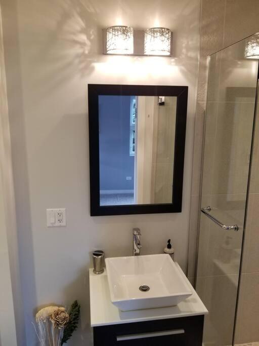 Nice And Cozy. Sleeps 5. Appartement Chicago Buitenkant foto